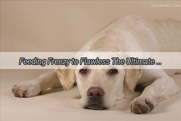 Feeding Frenzy to Flawless The Ultimate Guide to Nurturing a LargeBreed Canines Beauty